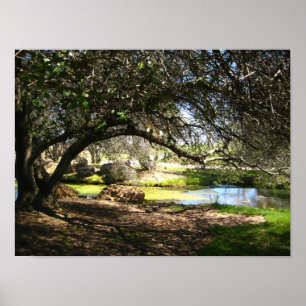 Póster "Sleepy Hollow"