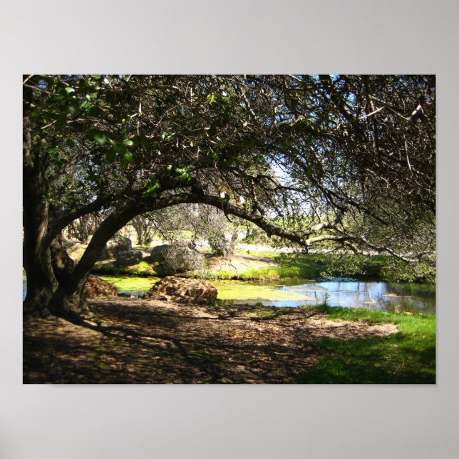 Póster "Sleepy Hollow" (Frente)