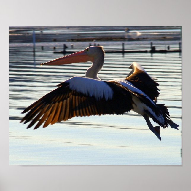 Poster slide (Frente)