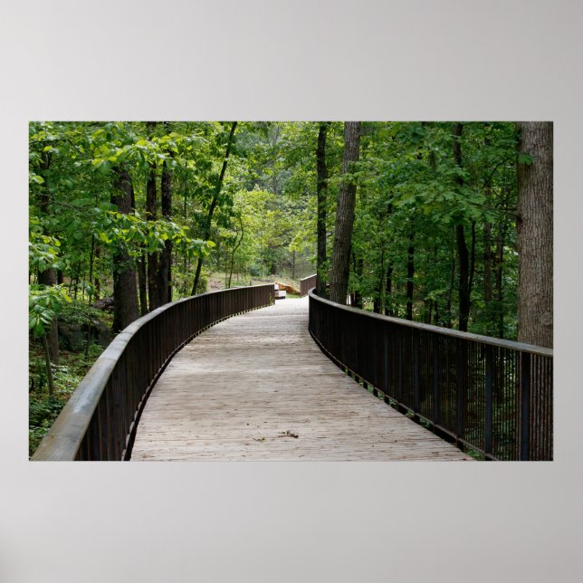 Poster Slightly Curved (Frente)