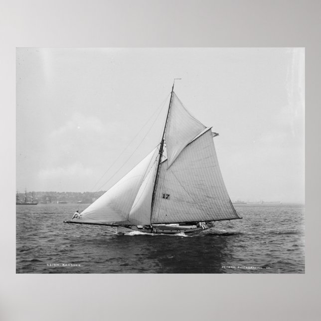 Poster Sloop Banshee (Frente)