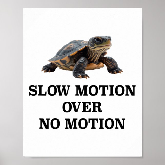 Poster Slow Motion Over No Motion Turtle Meme  (Frente)