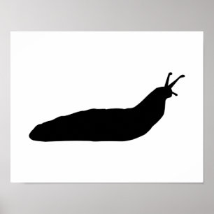 Poster Slug do caracol