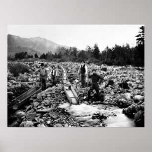 Póster SLUICING for DOURADO c. 1890