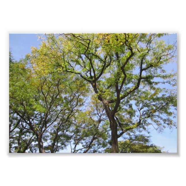 POSTER SMALL # L003 em fotografia (Frente)