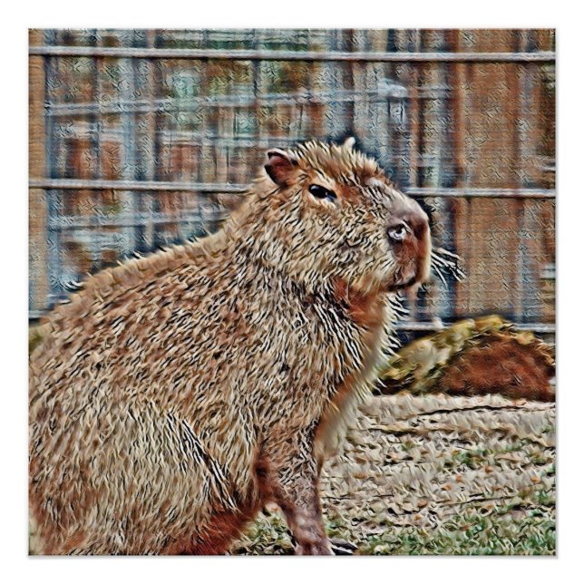 Póster SmartMix Animal - Capybara (Frente)