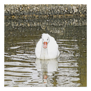 Póster SmartMix Animal- Swan