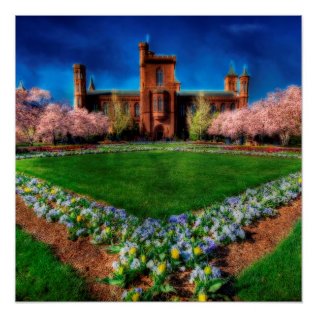 Póster Smithsonian Castle Cherry Blossoms (Frente)