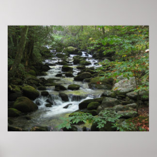 Poster Smokey Mounts