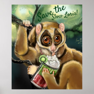Poster Smoothie lento de Loris