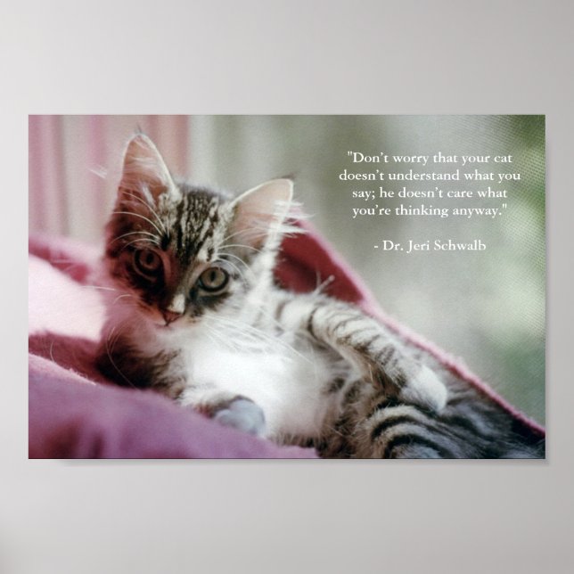 Poster Smug Kitten (Frente)
