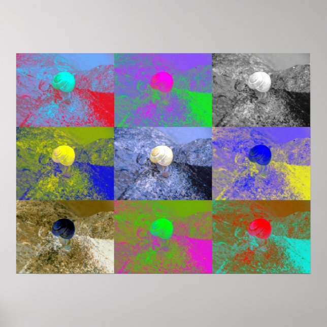 Póster Snail Cepaea Pop Art (Frente)