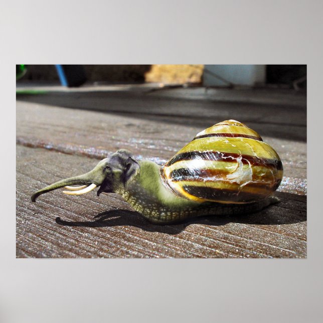 Póster Snailephant (Frente)
