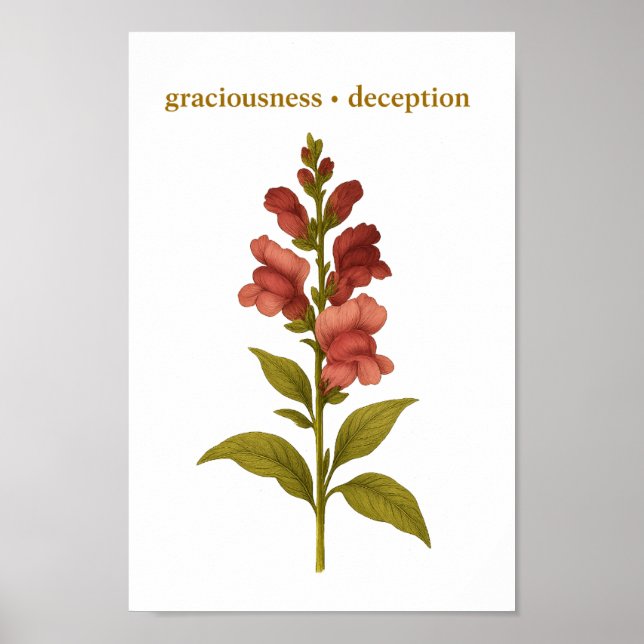 Poster Snapdragon — Graciosidade, engano (Frente)