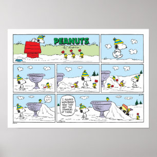 Poster Snoopy & A Equipe