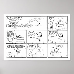 Poster Snoopy & Charlie Brown   Inglês Muffin