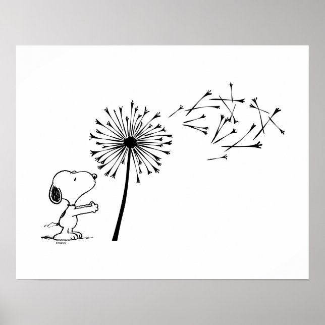 Poster Snoopy Com Dandelion (Frente)