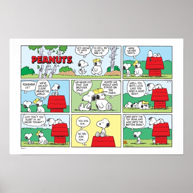 Poster Snoopy e seus irmãos Andy e Olaf (Frente)