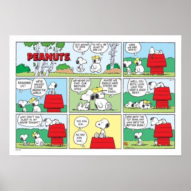 Poster Snoopy e seus irmãos Andy & Olaf (Frente)