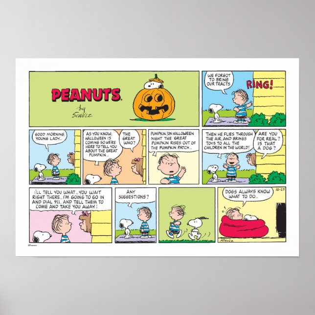 Poster Snoopy & Linus | O Excelente Pumpkin News (Frente)