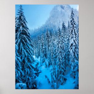 Poster Snoqualmie Pass, Estado de Washington.