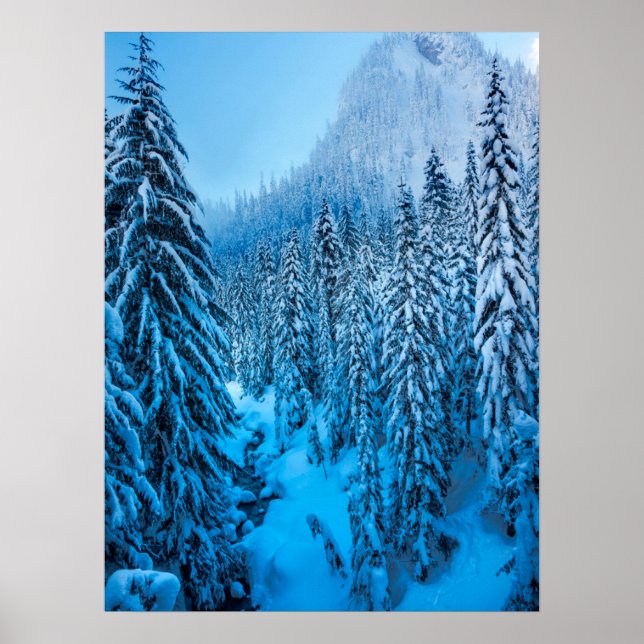 Poster Snoqualmie Pass, Estado de Washington. (Frente)