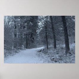 Poster Snow Covered Hiking Trail 1