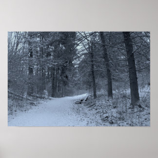 Poster Snow Covered Hiking Trail 1