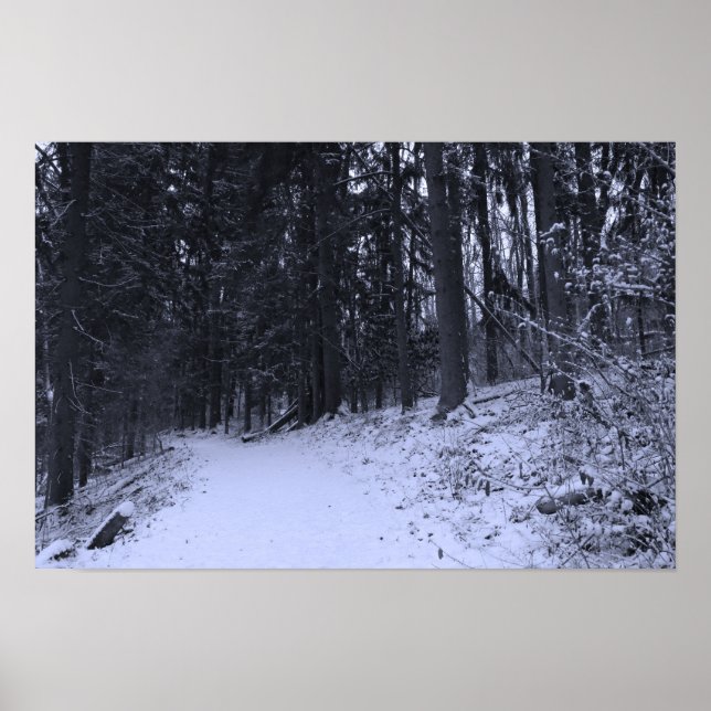 Poster Snow Covered Hiking Trail 2 (Frente)