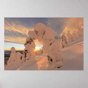 Poster Snow Ghosts In The Whitefish Range