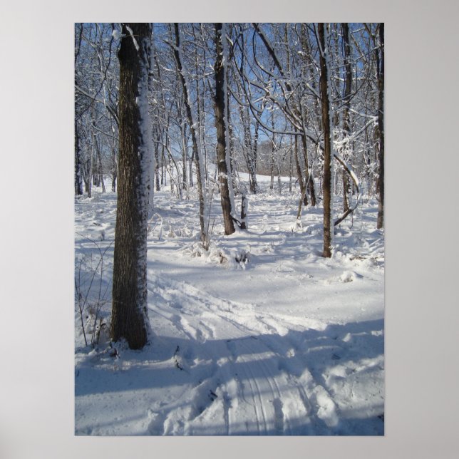 Poster Snow Woods (Frente)