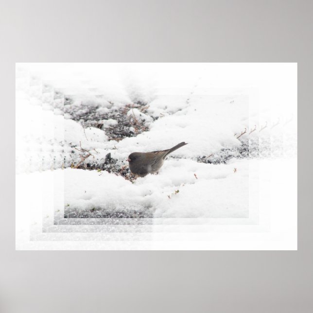 Poster Snowbird 01 (Frente)