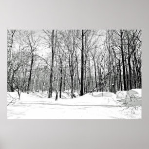 Poster Snowblind