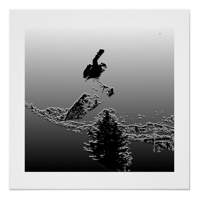 Póster Snowboard (Frente)