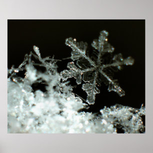 Poster Snowflake 2009 Blizzard