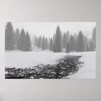Poster Snowy Creek