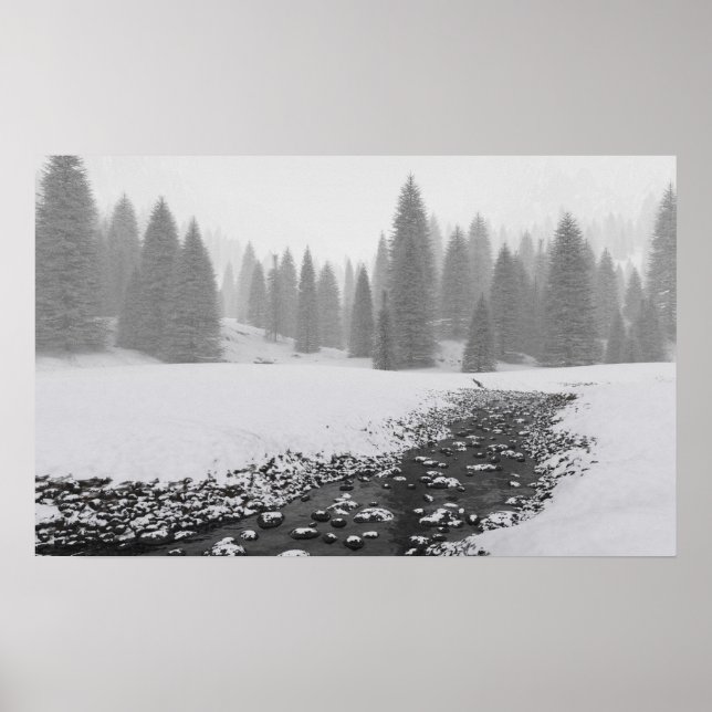 Poster Snowy Creek (Frente)