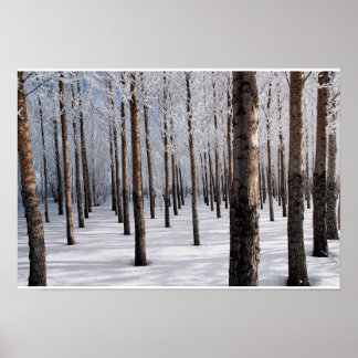 Póster Snowy Fairy Tale Forest