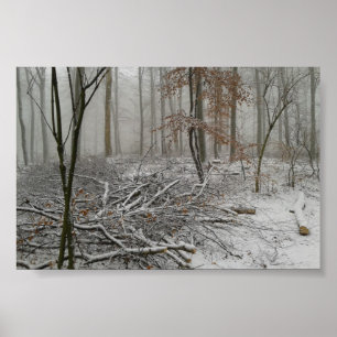 Póster Snowy inverno Forest