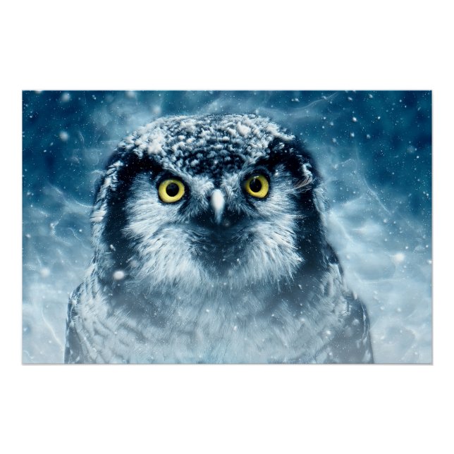 Póster Snowy Owl Big Eyes (Frente)