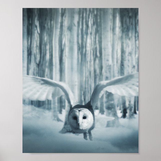 Poster Snowy Owl Em Voo (Frente)