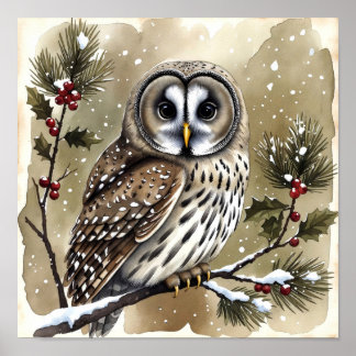 Poster Snowy Owl on Holly Branch Watercolor Christmas
