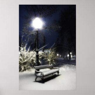 Póster Snowy Park