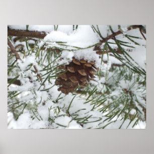 Póster Snowy Pine Cone I Winter Nature Photoshop