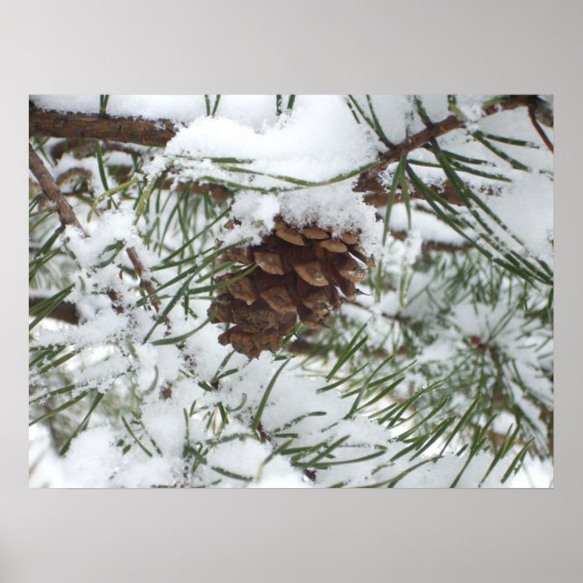 Póster Snowy Pine Cone I Winter Nature Photoshop (Frente)