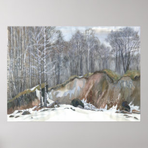 Póster Snowy ravine