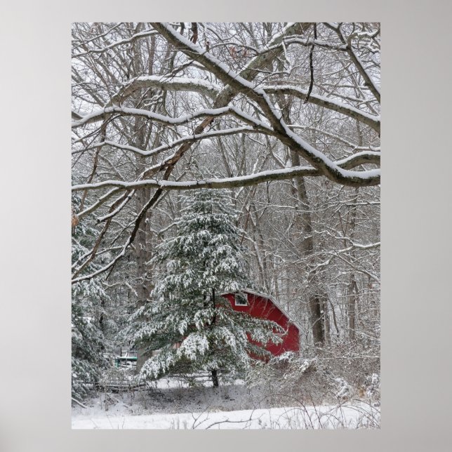 Poster Snowy Red Barn (Frente)