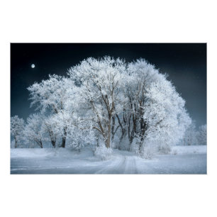 Póster Snowy Road através de Árvores Foscos