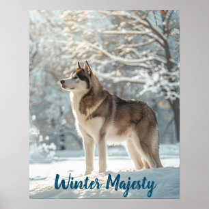Poster Snowy Sentinel: Alaskan Malamute Majestade