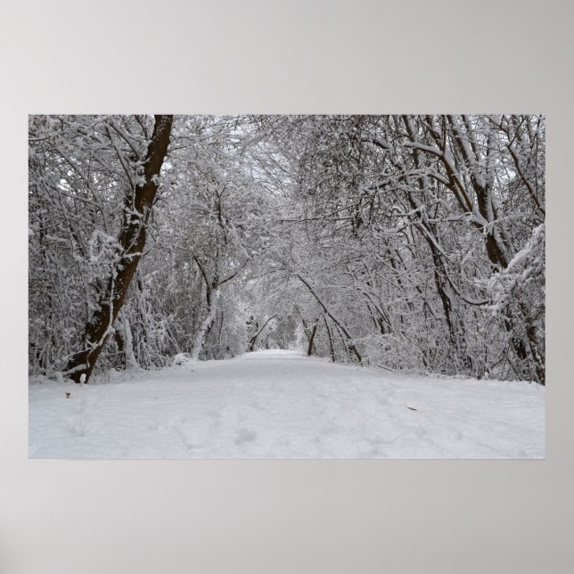 Póster Snowy Trail (Frente)